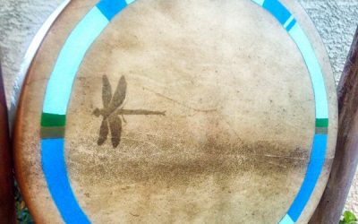 Dragonfly Warrior