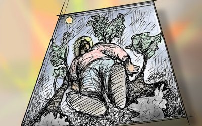 Changing Perspective and Perception