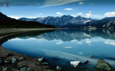 Reflected in the Sky