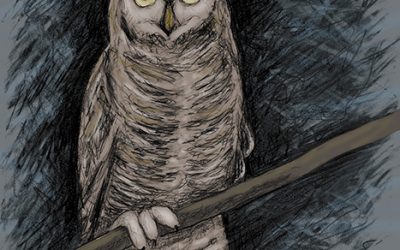 Gratitude to Spirit Guide