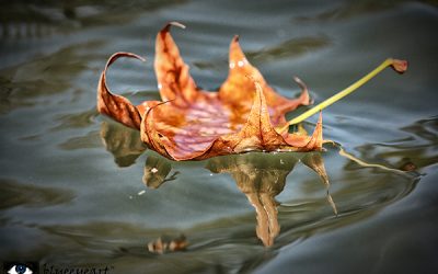 Floating