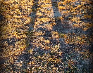 Casting the Longest Shadows