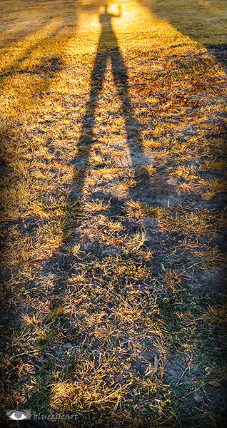 Casting the Longest Shadows