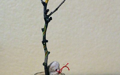 Prayer Tree #1: For gratitude for the mending of the heart