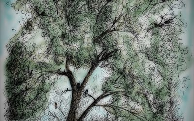 We Are All Birds in the Tree