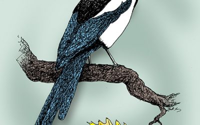 Age of the Magpie