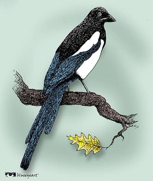 Age of the Magpie