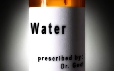 The Medicine Bottle