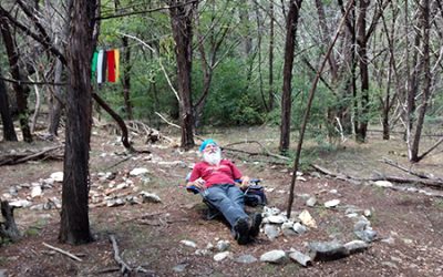 Gnome in the Woods