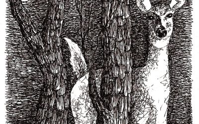 A Discussion with Deer about Fear