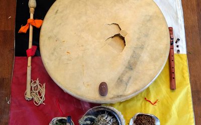 Gratitude for “Dreams of Birds”