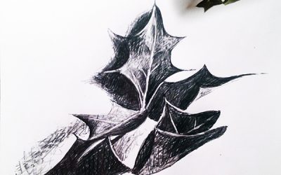 English Holly