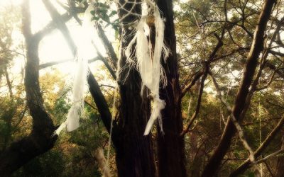 Prayers with the People in the Wood