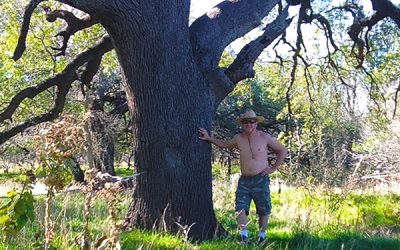Grove of Five Elder Oaks