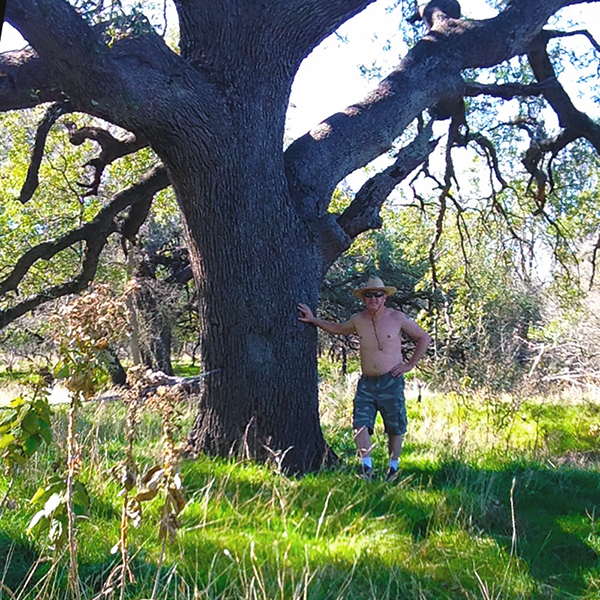 Grove of Five Elder Oaks