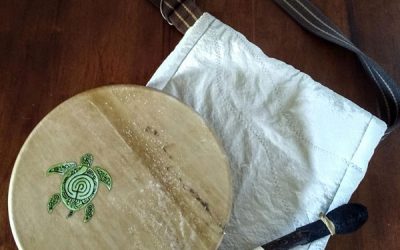 Traveling Turtle Drum