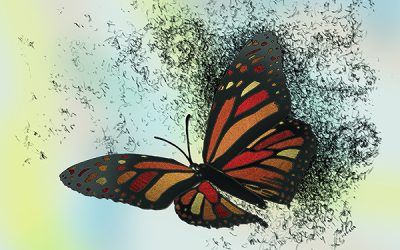 Butterfly: A Personal Promotional Process
