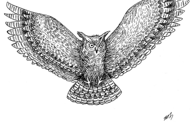 Owl as Messenger of Truth
