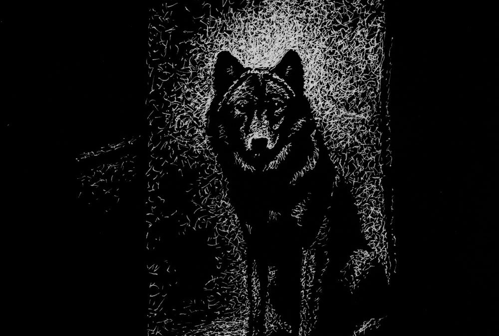 Wolf in the Doorway