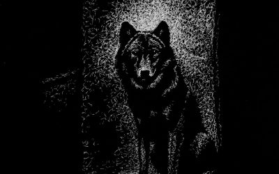 Wolf in the Doorway