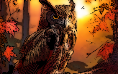 Transitioning into Autumn