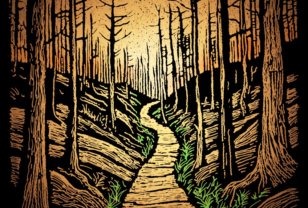 The Trail Beyond the Fire