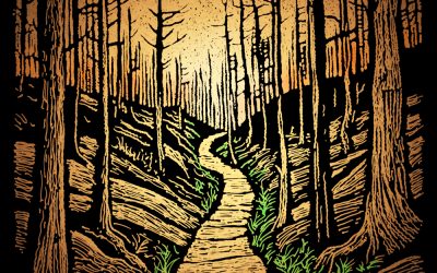 The Trail Beyond the Fire